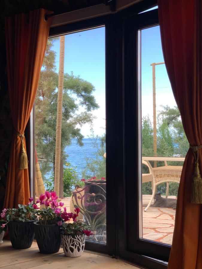 Ak-Tengir Yurt Resort Tossor 외부 사진